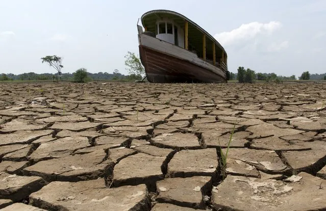 A boat lies on the bottom of Amazonas river, in the city of Manaus, Brazil, October 26, 2015. A severe drought has pushed river levels in Brazil's Amazon region to lows, leaving isolated communities dependent on emergency aid and thousands of boats stranded on parched riverbeds. (Photo by Bruno Kelly/Reuters)