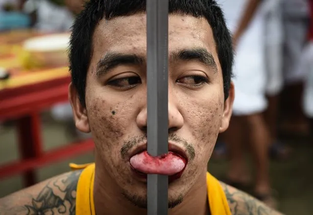 A devotee of the Nine Emperor Gods is seen with a sword pierced through his tongue during the annual Phuket Vegetarian Festival in the southern province of Phuket on October 3, 2016. (Photo by Lillian Suwanrumpha/AFP Photo)