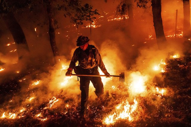 A firefighter battles the Pickett Fire in Napa County, California, on Saturday, August 23, 2025. (Photo by Noah Berger/AP Photo)