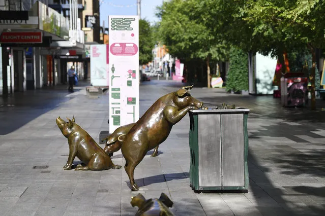 Sculptures of pigs are displayed in a nearly empty pedestrian mall in Adelaide, Australia, Thursday, November 19, 2020. South Australia state that includes the city of Adelaide is in a six-day lockdown schools, universities, bars and cafes closed from Thursday and only one person from each household will be allowed to leave home each day, and only for specific reasons. (Photo by David Mariuz/AAP Image via AP Photo)