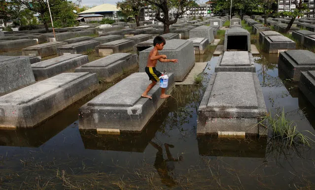 A boy who works at a cemetery to refurbish tombs ahead of the commemoration of All Saints Day, walks on tombs in the flooded cemetery in Masantol, Pampanga, in northern Philippines, October 26, 2016. (Photo by Erik De Castro/Reuters)