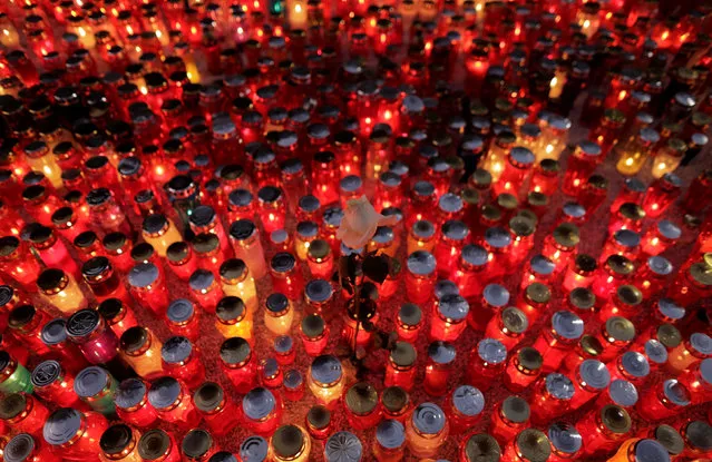 White rose is seen among candles during All Saints Day at Mirogoj cemetery in Zagreb, Croatia November 1, 2016. (Photo by Antonio Bronic/Reuters)