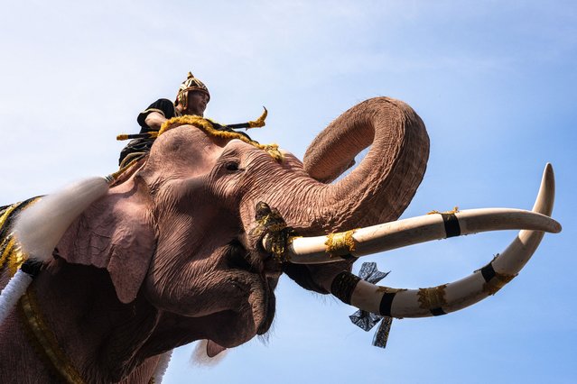 A mahout rides on painted elephant as they march during a procession near the Grand Palace to pay their respects to Thailand's former queen Sirikit in Bangkok on November 27, 2025. (Photo by Chanakarn Laosarakham/AFP Photo)