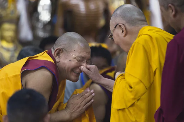 Tibetan spiritual leader the Dalai Lama playfully pinches the nose of a senior monk as he arrives to give a talk to Tibetan youth in Dharmsala, India, Thursday, June 7, 2018. Every year the Tibetan leader speaks to young Tibetans to introduce them to Buddhist precepts. (Photo by Ashwini Bhatia/AP Photo)