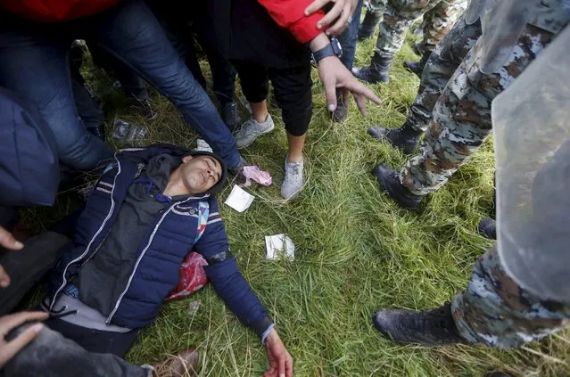 A migrant lies unconscious on the ground as others tried to cross the Greek-Macedonian border near the Greek village of Idomeni November 26, 2015. (Photo by Yannis Behrakis/Reuters)