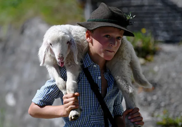 A boy carries a little sheep from its summer pastures in the mountains down to the valley and through the town of Mittenwald during the traditional “Almabtrieb” in Mittenwald, Germany, September 8, 2018. (Photo by Andreas Gebert/Reuters)