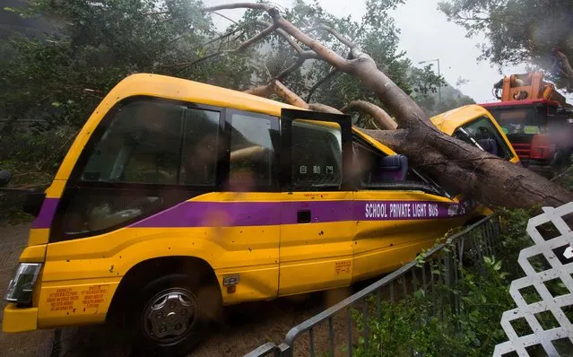 A school bus is struck by a fallen tree during the passage of Super Typhoon Mangkhut near Heng Fa Chuen housing estate in Hong Kong, China, 16 September 2018. The Hong Kong government hoisted the T10 signal which is the highest and most severe hurricane warning in Hong Kong. (Photo by Alex Hofford/EPA/EFE)