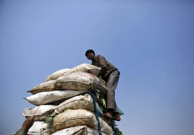 A worker stacks sacks of vegetables onto a handcart at a wholesale vegetable market in Delhi February 12, 2015. Indian inflation probably rose in January as the country shifted to a new base year for calculating prices, adding more weight for services like education and health, changes that may deter the central bank from cutting interest rates soon. (Photo by Anindito Mukherjee/Reuters)