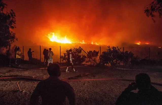 Locals gather as a forest fire burns the hills of Valparaiso city, northwest of Santiago March 13, 2015. The forest fire was raging out of control on Friday evening, threatening the Chilean port city of Valparaiso, Chile's emergency service Onemi said. As a precaution, Onemi said 4,500 people were being evacuated from Valparaiso and neighboring Vina del Mar and a state of emergency had been declared. (Photo by Lucas Galvez/Reuters)