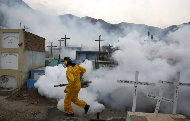 A health worker carries out fumigation as part of preventive measures against the Zika virus and other mosquito-borne diseases at the cemetery of Carabayllo on the outskirts of Lima, Peru February 1, 2016. (Photo by Mariana Bazo/Reuters)