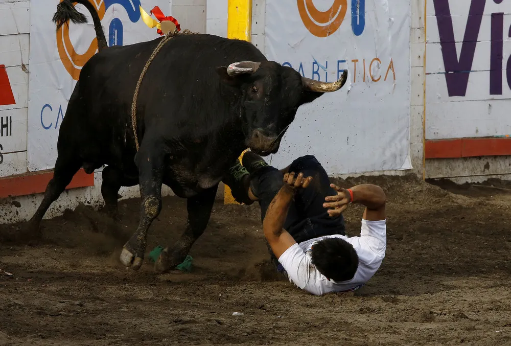 “Toros a la Tica”