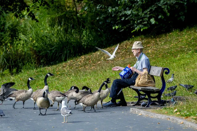 A man feeds the birds by the lake at Sefton Park, as the warm weather there continues, in Liverpool, England,  Monday July 26, 2021. (Photo by Peter Byrne/PA Wire via AP Photo)