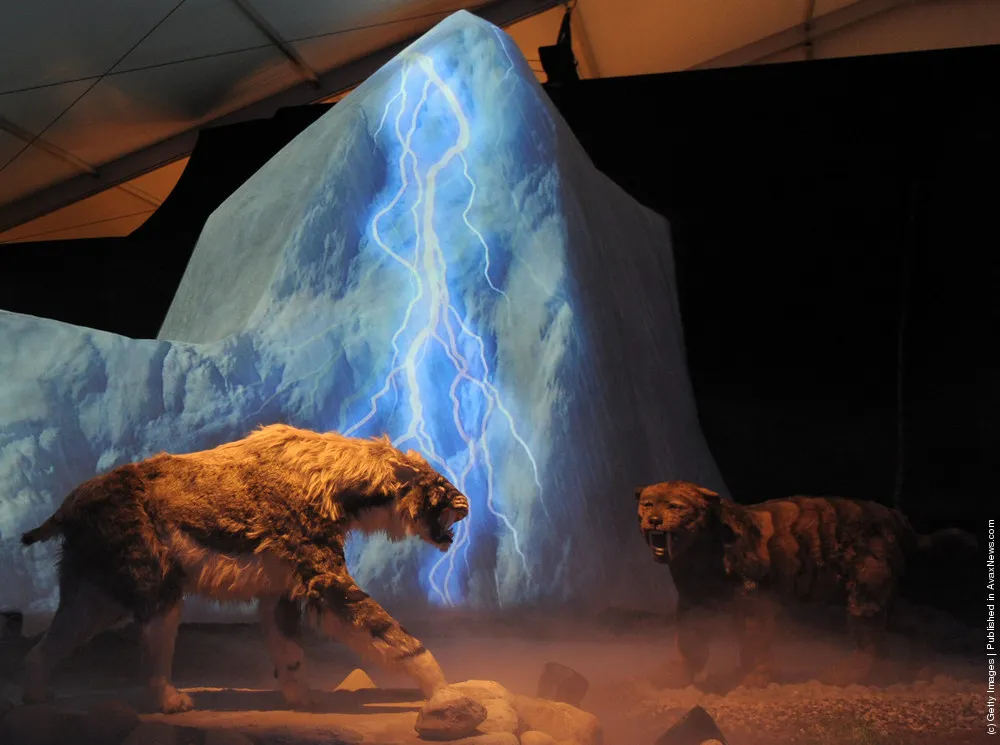 «Giganten Der Eiszeit» Exhibition Opening
