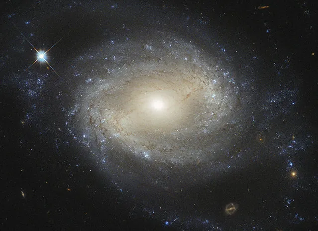 The barred spiral galaxy NGC 4639, which lies over 70 million light-years away in the constellation of Virgo and is one of about 1500 galaxies that make up the Virgo Cluster. NGC 4639 also conceals a massive black hole that is consuming the surrounding gas. (Photo by Reuters/NASA/ESA/Hubble)