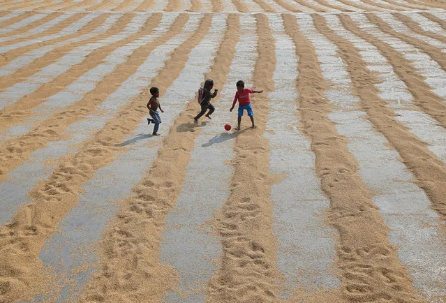 Children play with a ball after rice is spread for drying at a rice mill on the outskirts of Kolkata, India, January 31, 2019. (Photo by Rupak De Chowdhuri/Reuters)