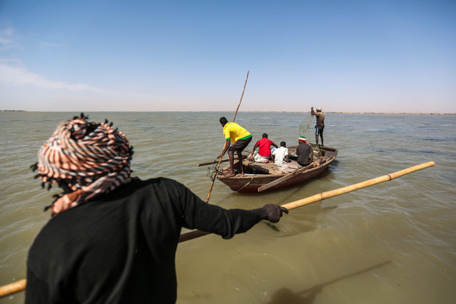 In this Wednesday, April 15, 2015 photo, Sudanese fishermen steer their boats while fishing in the Nile River on the outskirts of Khartoum, Sudan. (Photo by Mosa'ab Elshamy/AP Photo)