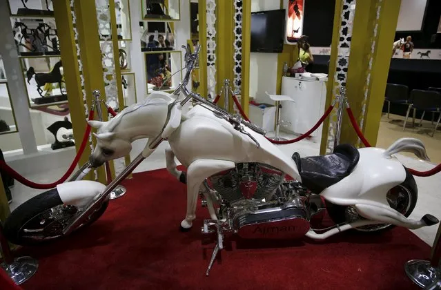 A motorcycle in the design of a horse is displayed during Dubai International Horse Fair, March 19, 2016. (Photo by Ahmed Jadallah/Reuters)