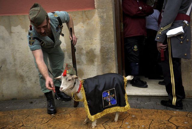 A member of the Brotherhood of Gentlemen Legionnaires of Asturias feeds its mascot after the governing body of the “Estudiantes” brotherhood decided that penance could not be carried out in the streets due to rain on Palm Sunday in Oviedo, northern Spain, March 20, 2016. (Photo by Eloy Alonso/Reuters)