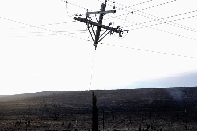 A power pole that was burned by the Smokehouse Creek wildfire hangs from the power lines in Canadian, Texas, U.S. February 28, 2024. (Photo by Nick Oxford/Reuters)