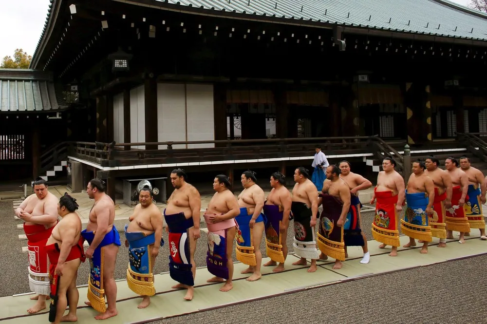 Sumo Wrestling – the Honozumo