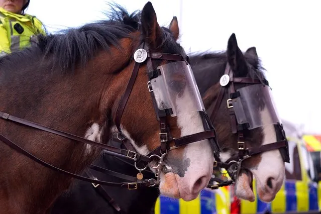 Mounted police presence outside the ground ahead of the cinch Premiership match at Ibrox Stadium, Glasgow on Sunday, April 7, 2024. (Photo by Andrew Milligan/PA Images via Getty Images)