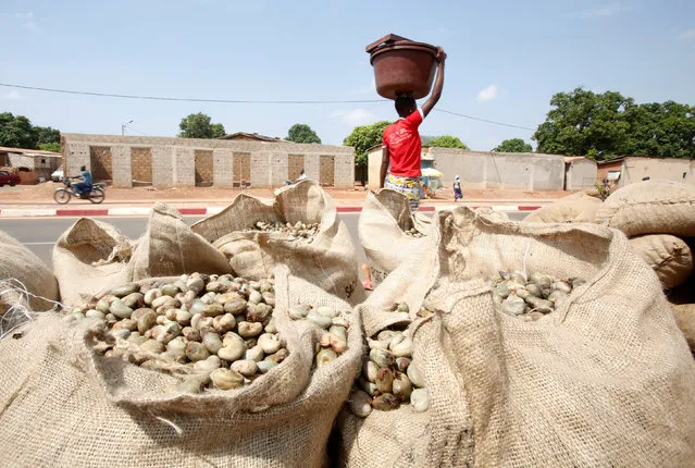 A woman walks past bags loaded with cashews in Korhogo, Ivory Coast April 24, 2016. (Photo by Thierry Gouegnon/Reuters)