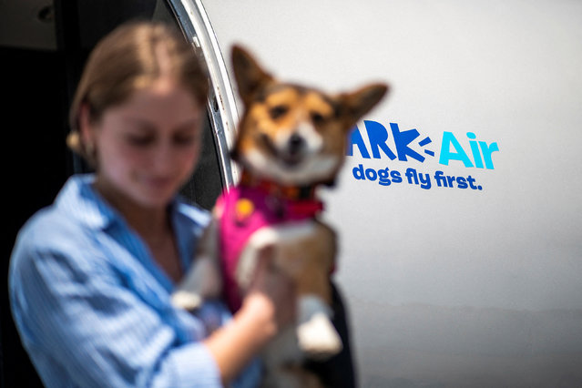 A woman holding a dog walks out of a plane during a press event introducing Bark Air, an airline for dogs, at Republic Airport in East Farmingdale, New York on May 21, 2024. (Photo by Eduardo Munoz/Reuters)