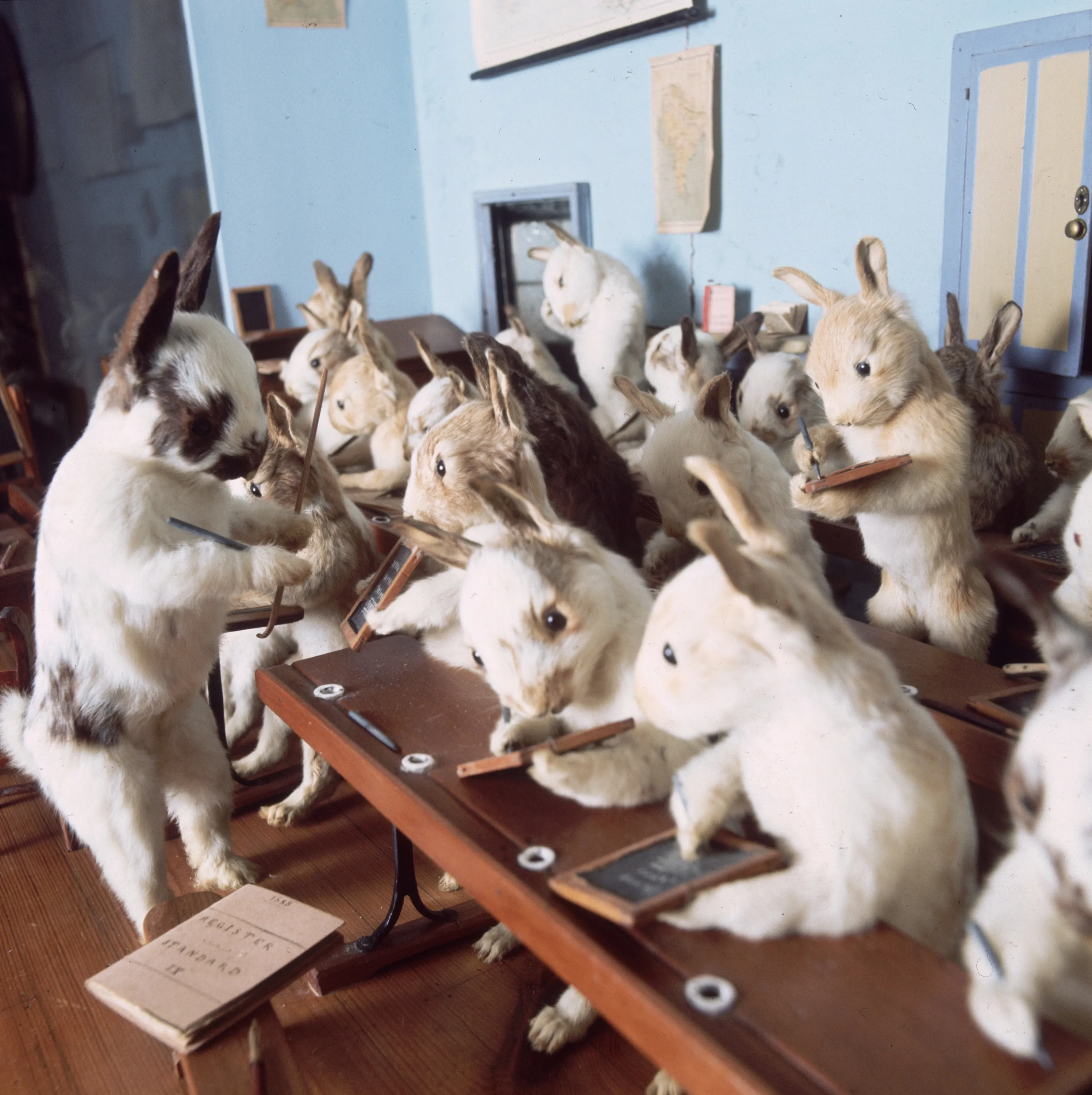 Открой школу кролика. Кролик в школе. Животные за партой. Животные в школе. Животное школа.