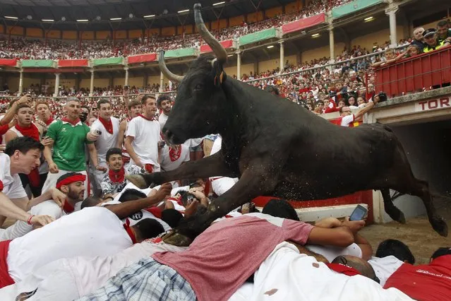 A wild cow leaps over revellers into the bull ring after the second running of the bulls of the San Fermin festival in Pamplona, northern Spain, July 8, 2015. (Photo by Joseba Etxaburu/Reuters)