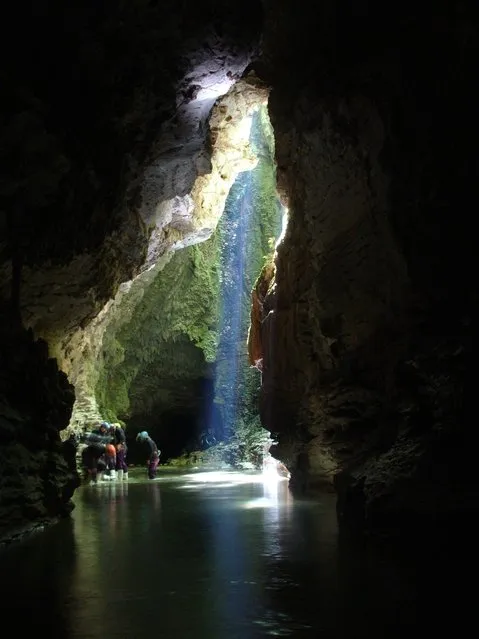 Waitomo Glowworm Caves New Zealand