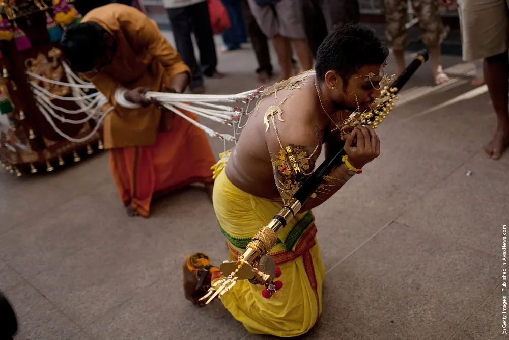 Singapore Hindus Celebrate Thaipusam Festival