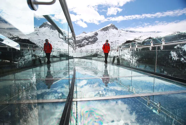 Visitors take in the opening day of the Glacier Skywalk near Alerta's Columbia Icefields in Jasper National Park Thursday May 1, 2014. (Photo by Gavin Young/Calgary Herald)