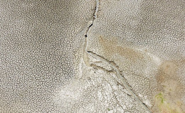 A drone picture shows an animal drinking water at Fanaco Lake following a drought on the Italian island of Sicily, in Palermo, Italy on August 26, 2024. (Photo by Louiza Vradi/Reuters)