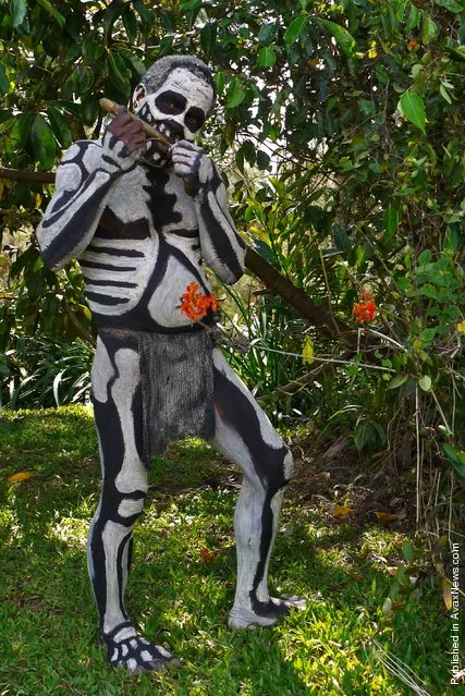 Chimbu Tribe And The Skeleton Body Painting