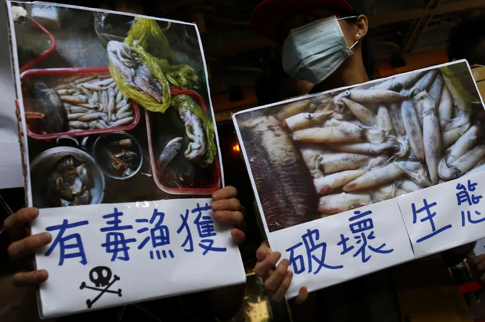 The Day in Photos – June 18, 2016