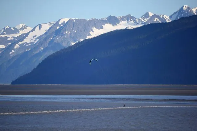 A surfer rides the Bore Tide at Turnagain Arm on July 14, 2014 in Anchorage, Alaska. Alaskas most famous Bore Tide, occurs in a spot on the outside of Anchorage in the lower arm of the Cook Inlet, Turnagain Arm, where wave heights can reach 6-10 feet tall, move at 10-15 mph and the water temperature stays around 40 degrees farenheit. This years Supermoon substantially increased the size of the normal wave and made it a destination for surfers. (Photo by Streeter Lecka/Getty Images)