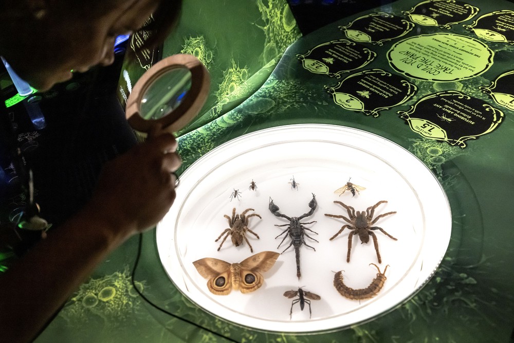 USA last Week, Part 1/2