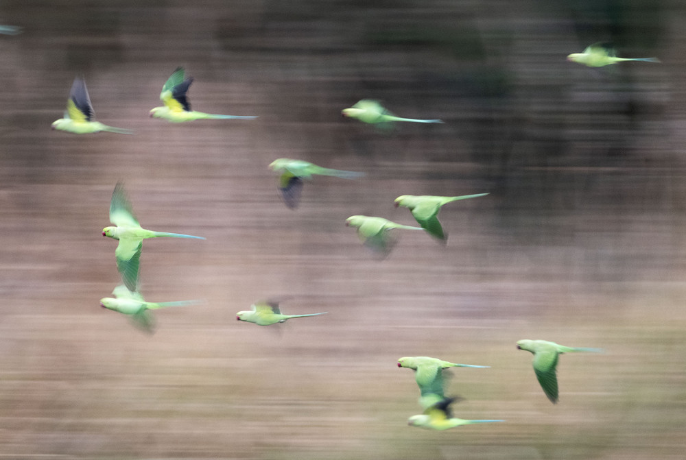 Some Photos: In Motion