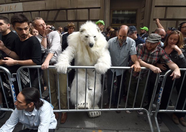 A man dressed as a Polar Bear climbs a barricade as protestors take part in the “Flood Wall Street” demonstrations on September 22, 2014, preceding the United Nations's “Climate Summit 2014: Catalyzing Action” in New York. (Photo by Timothy A. Clary/AFP Photo)