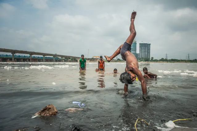 A boy performs a handstand while swimming in the polluted river Yamuna in New Delhi, India on August 2, 2016. The river is said to be the most polluted in the country. (Photo by Shams Qari/Barcroft Images)