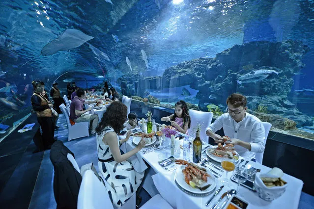 Aquarium visitors attend a dinner party in an underwater tunnel in Tianjin, China on September 15, 2016. (Photo by Feature China/Barcroft Images)