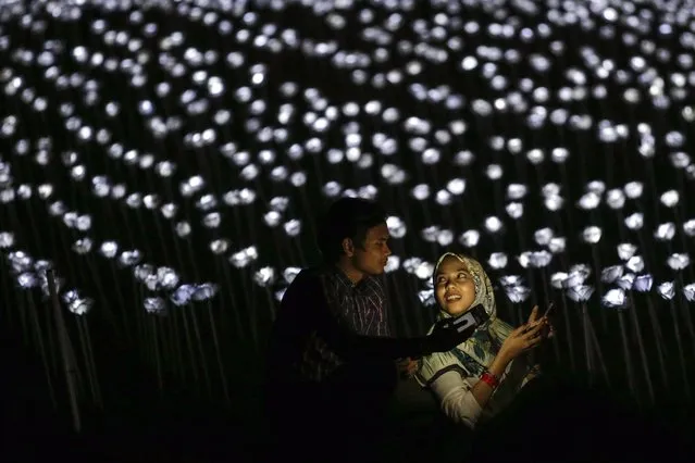A couple use their phones during The Nightscape of Light Sensation – Love Series event at Serdang, outside Kuala Lumpur, Malaysia, 19 September 2016. The Nightscape of Light Sensation – Love Series event showcase a total of 30 thousand LED white roses aims to promote internationally and bring worldwide recognition to the Malaysia. (Photo by Fazry Ismail/EPA)
