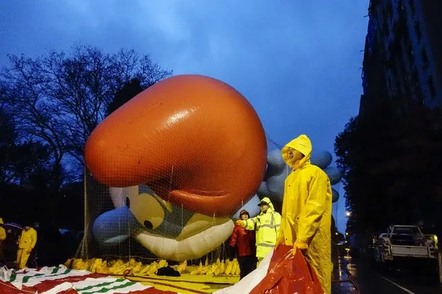 Members of the Macy's Thanksgiving Day Parade balloon inflation team work during preparations for the 88th annual Macy's Thanksgiving Day Parade in New York, November 26, 2014. (Photo by Eduardo Munoz/Reuters)
