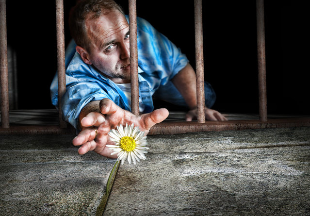 Funny Photography By Adrian Sommeling
