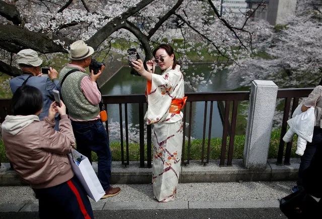 A kimono-clad woman takes a selfie at the Chidorigafuchi moat in Tokyo, Japan March 26, 2018. (Photo by Issei Kato/Reuters)