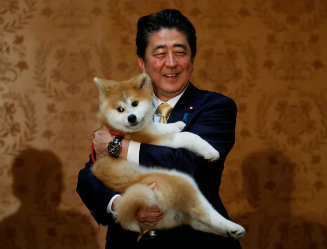 Japanese Prime Minister Shinzo Abe poses with an Akita Inu puppy presented to Russian figure skating gold medallist Alina Zagitova, in Moscow, Russia May 26, 2018. (Photo by Maxim Shemetov/Reuters)