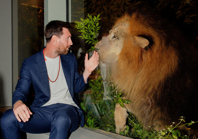 Argentina and Inter Miami's Lionel Messi sits next to a lion in a enclosure at Vantara animal rescue and rehabilitation centre in Jamnagar, Gujarat, India, on December 15, 2025. (Photo by Vantara/Handout/Reuters)