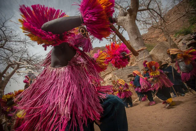 “Dance”. Dance in the village of Tireli Dogon, the Dogon country, Sahel, Mali. (Photo and caption by Anthony Pappone/National Geographic Traveler Photo Contest)