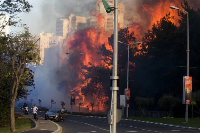 People run as wildfires rages in Haifa, Israel, Thursday, November 24, 2016. A raging wildfire ripped through parts of Israel's third-largest city on Thursday, forcing tens of thousands of people to evacuate their homes and prompting a rare call-up of hundreds of military reservists to join overstretched police and firefighters. Spreading quickly due to dry, windy weather, the fire quickly spread through Haifa's northern neighborhoods. While there were no serious injuries, several dozen people were hospitalized for smoke inhalation. (Photo by Ariel Schalit/AP Photo)