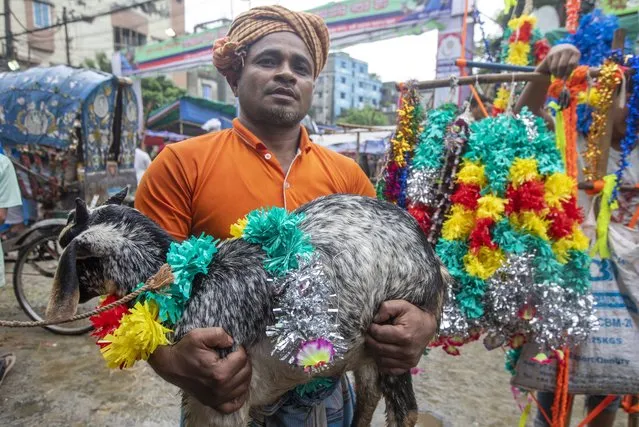 A man holds a sacrificial animal at a livestock market ahead of Eid al-Adha, during a rainy day in Dhaka, Bangladesh, 28 June 2023. Eid al-Adha is the holiest of the two Muslims holidays celebrated each year, it marks the yearly Muslim pilgrimage (Hajj) to visit Mecca, the holiest place in Islam. Muslims slaughter a sacrificial animal and split the meat into three parts, one for the family, one for friends and relatives, and one for the poor and needy. (Photo by Monirul Alam/EPA)